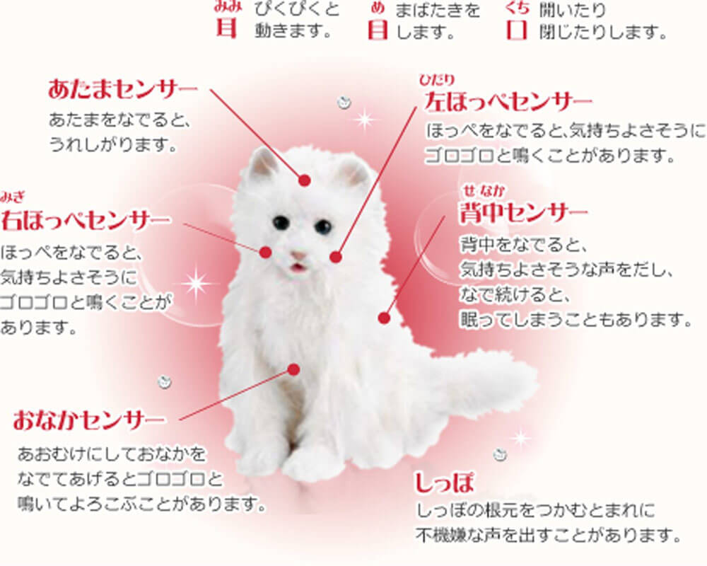 センサー