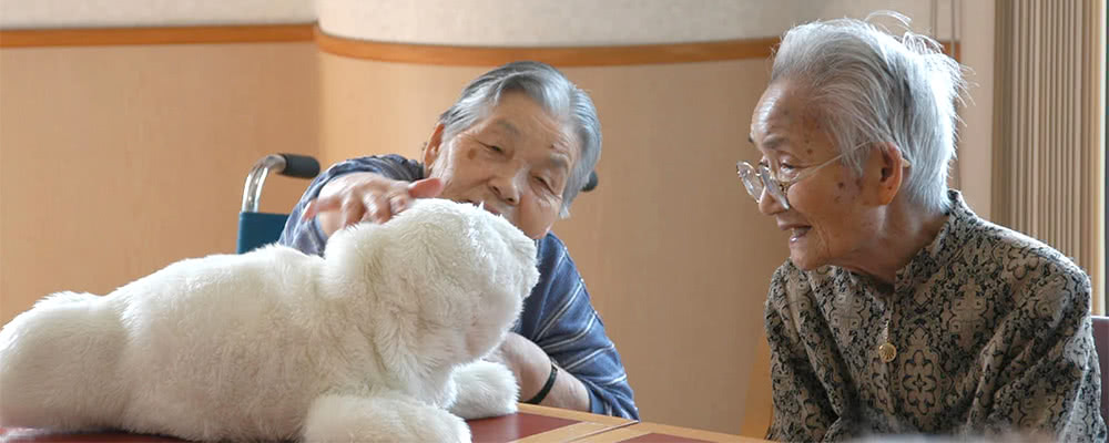 施設での利用