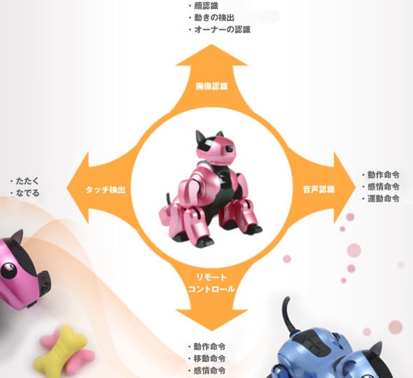 交流