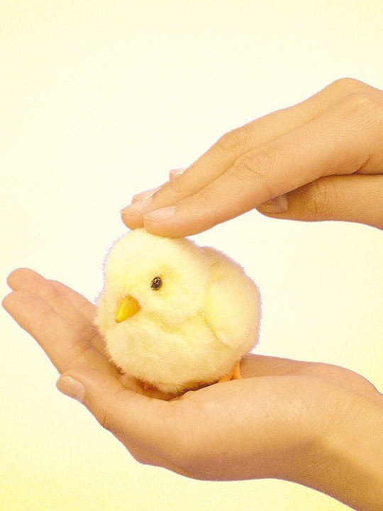 なでる