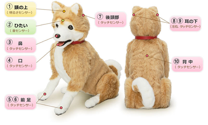 10箇所のセンサー