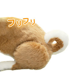 フリフリ