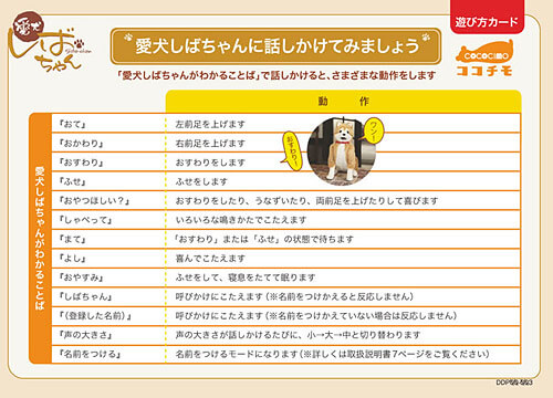 遊び方カード