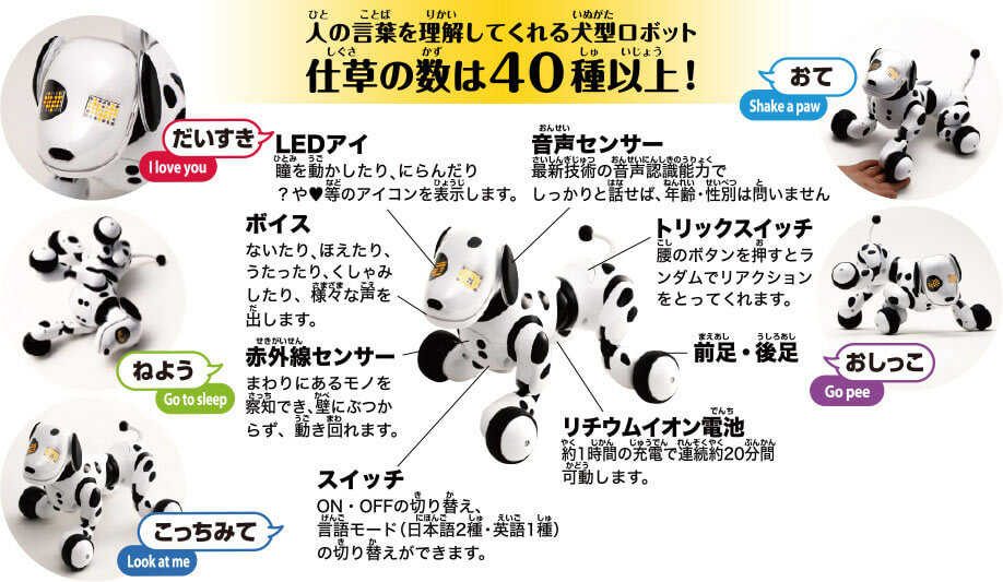 名前