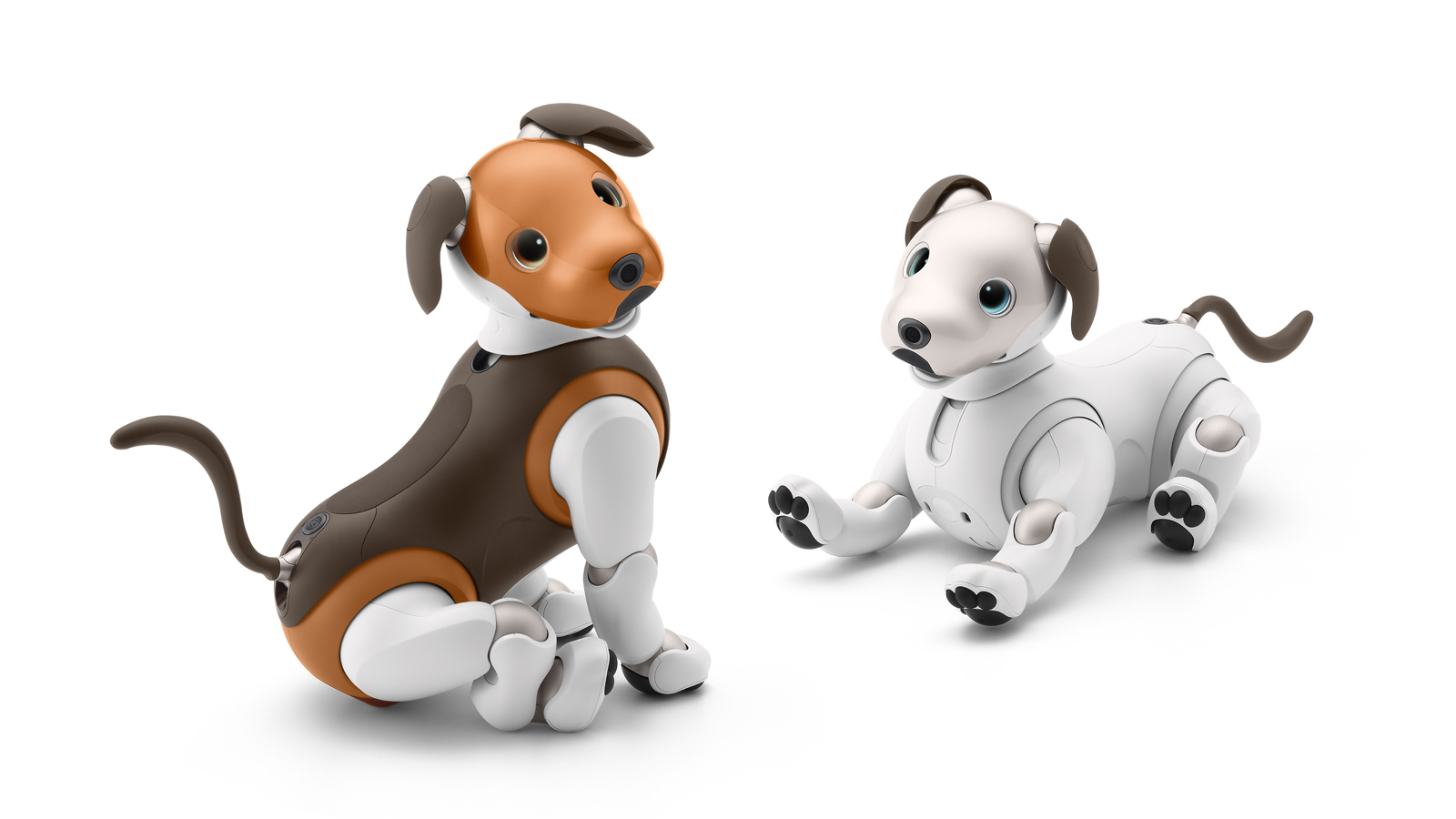 Aibo アイボの評価 成長する犬型ロボ ペットロボの頂点 ペットロボットショップ