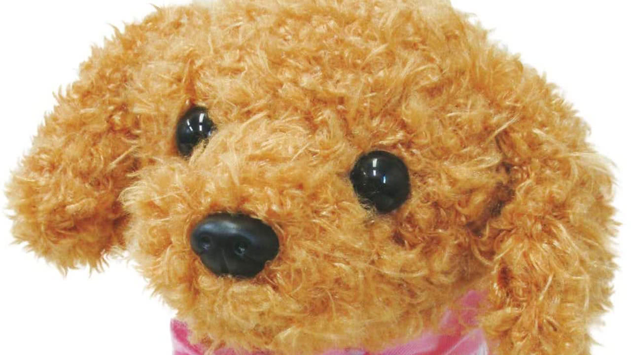 愛犬モカちゃんの評価-呼び掛けに応じて8つのポーズをとる