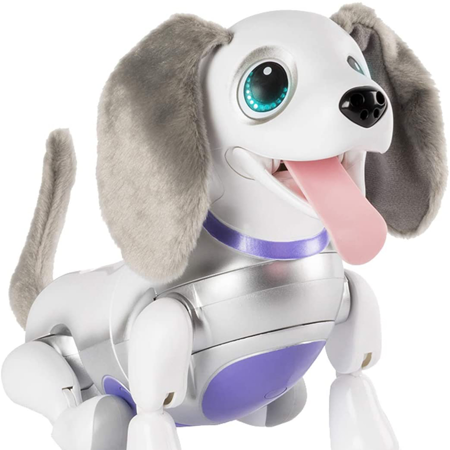 zoomer-dachs-1x1.jpg